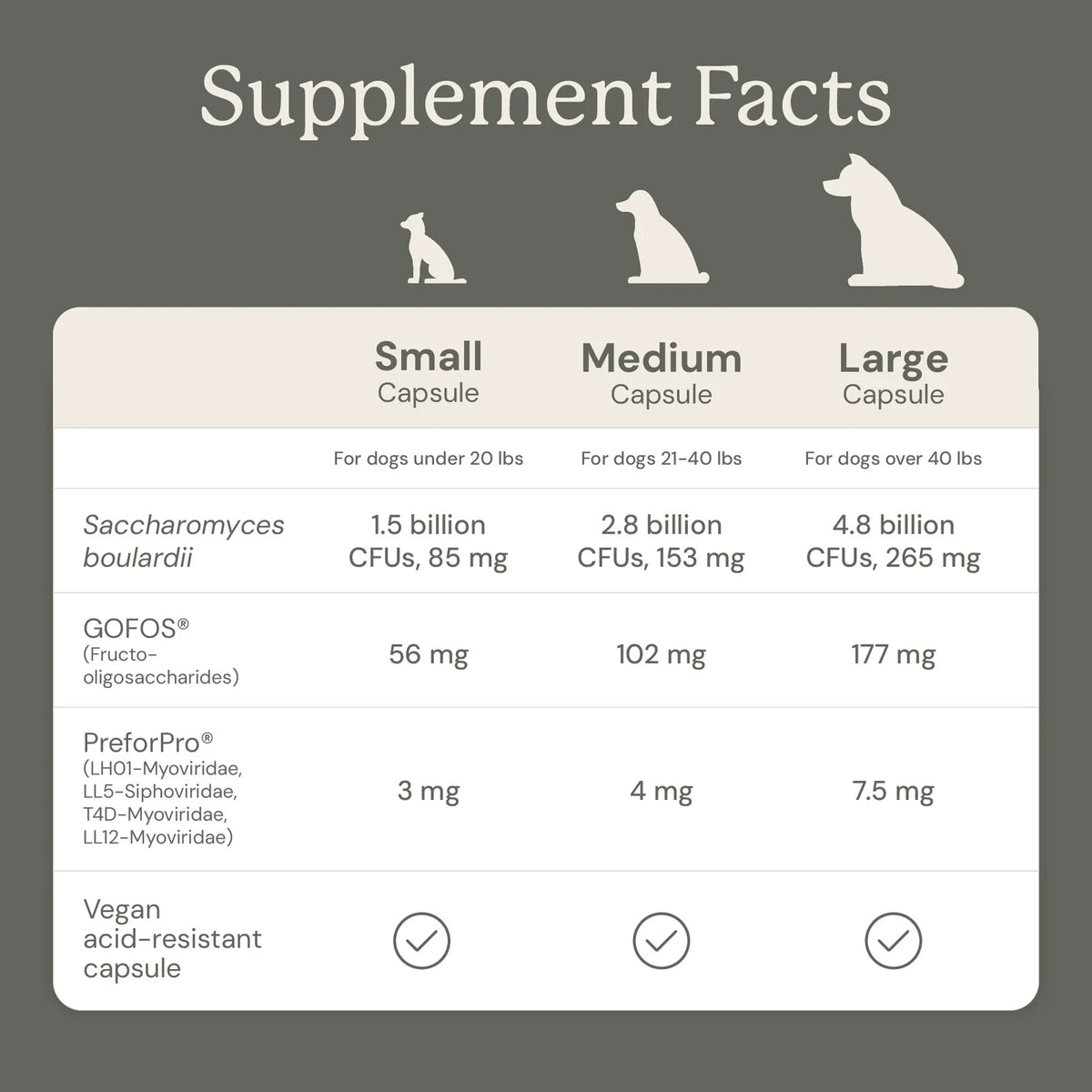 Dog Digestive Support Supplement - Small Dogs