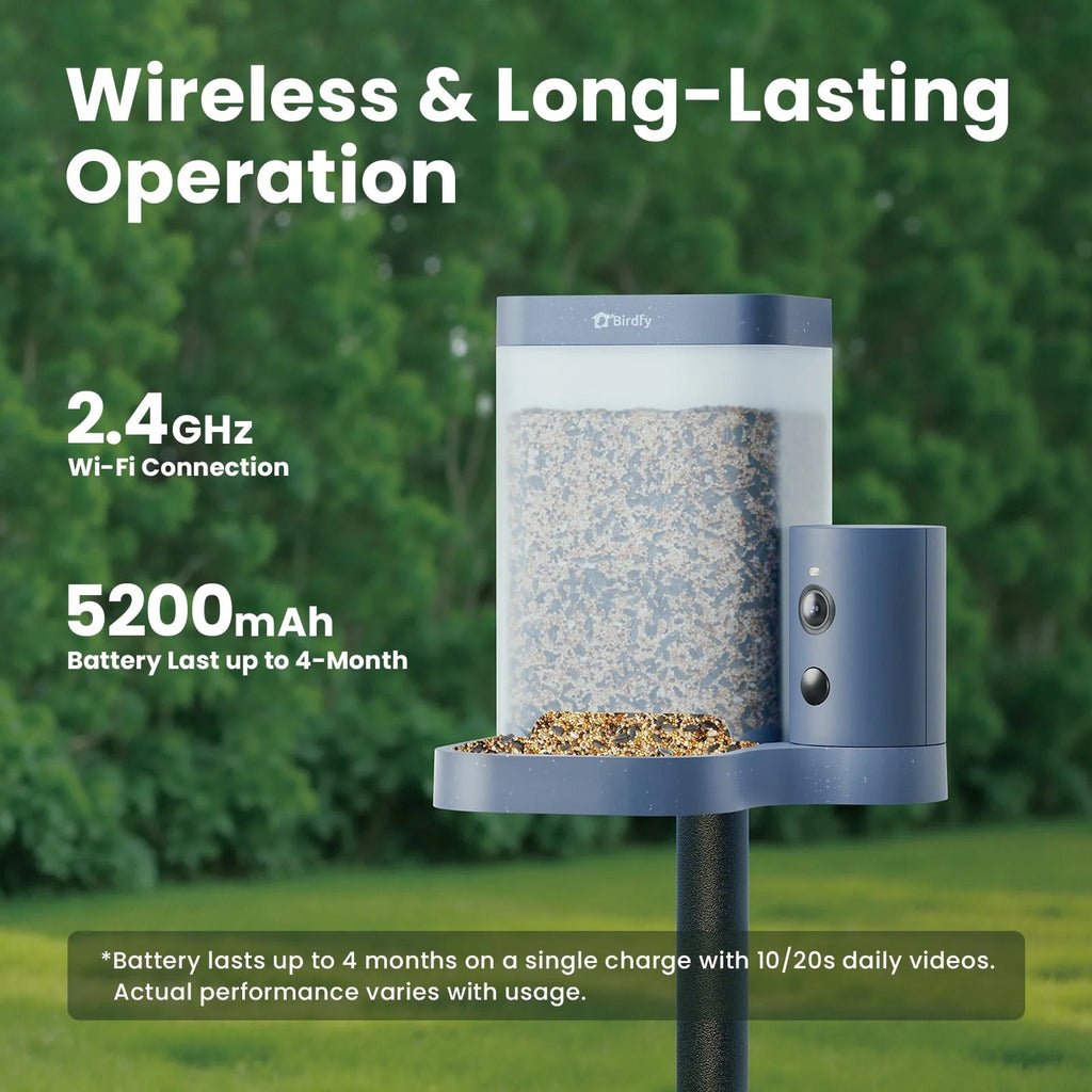 Birdfy Smart Bird Feeder With Camera, 1080P HD Video, 60FPS - Rookie