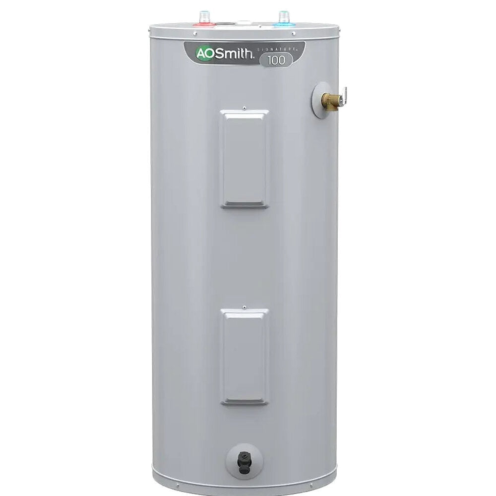 A.O. Smith Signature 100 30-Gallon Tall 4500-Watt Double Element Electric Water Heater - E6-30H45DV