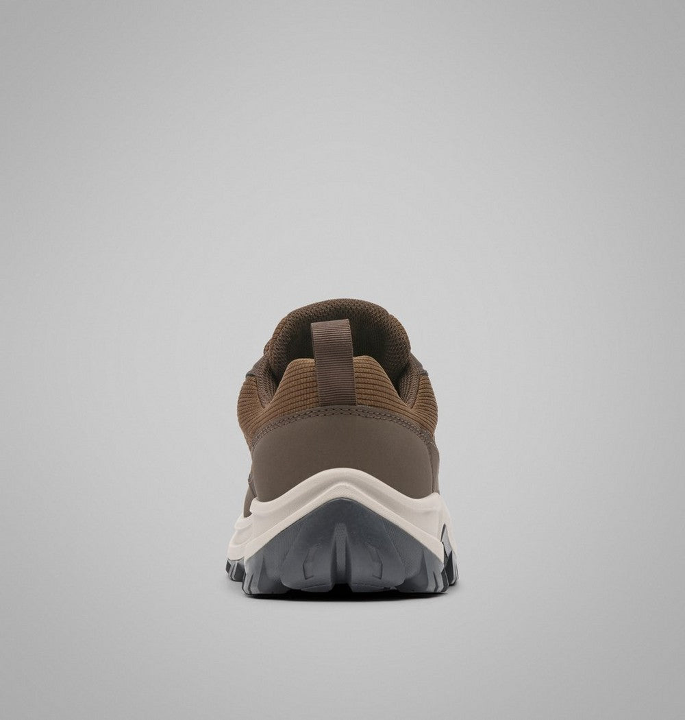 Women's Low Hiking Shoe - Black and Blue