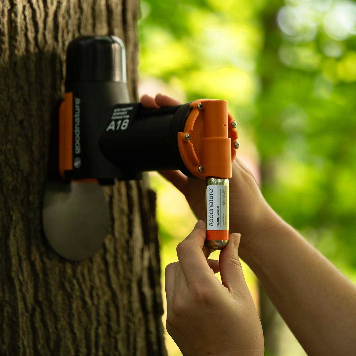 Goodnature Squirrel Trap Kit - A18