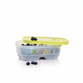 Small Produce Storage Container - Celery