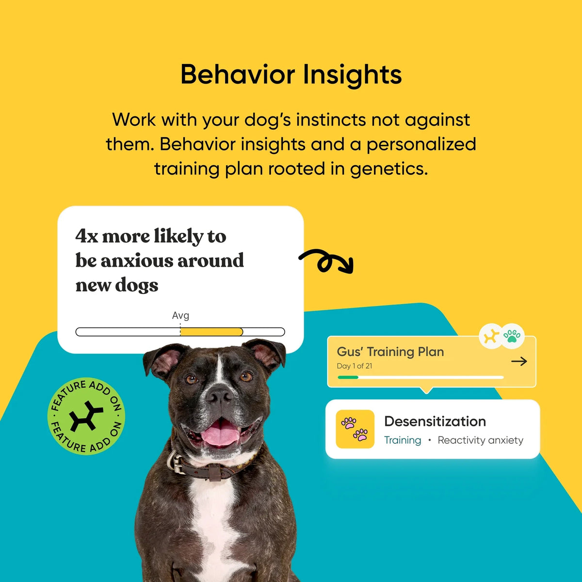 Dog Breed Ancestry DNA Test Kit
