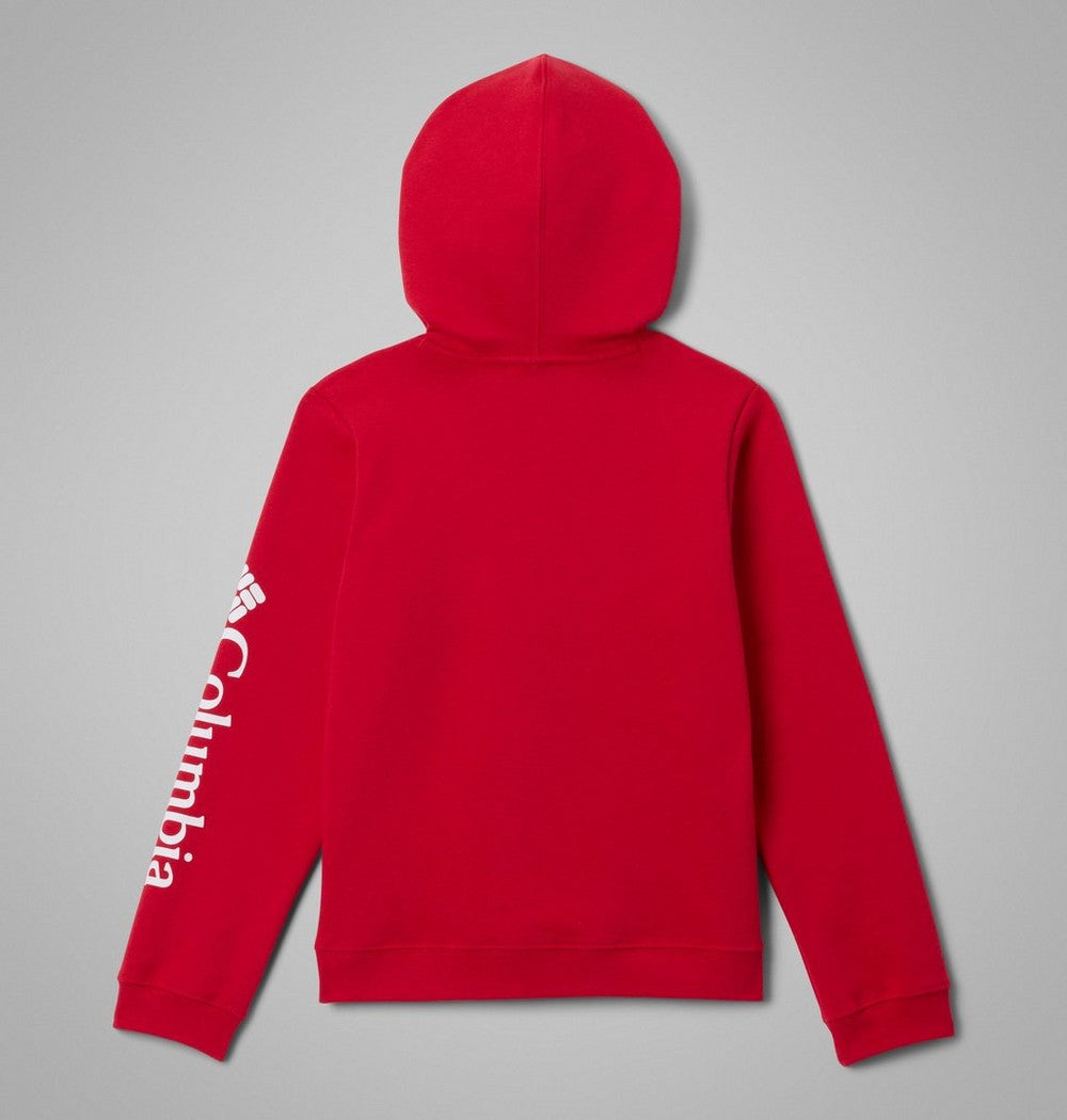 Kids' Fleece Pullover Hoodie - Carbon