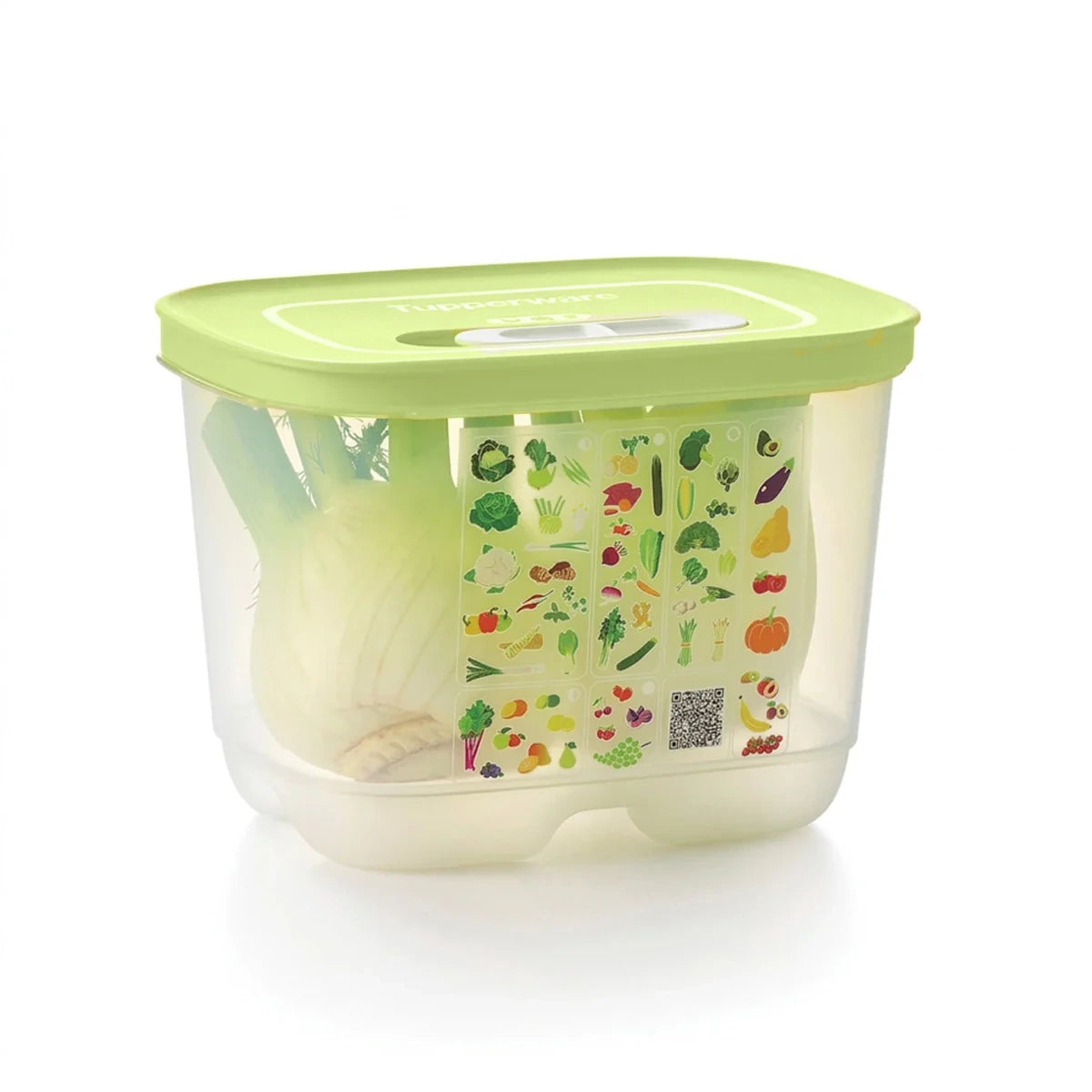 Small Deep Produce Storage Container - Celery