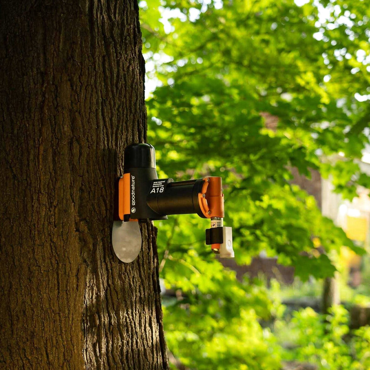 Goodnature Squirrel Trap Kit - A18
