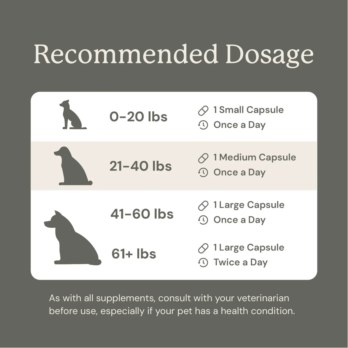 Dog Digestive Support Supplement - Small Dogs