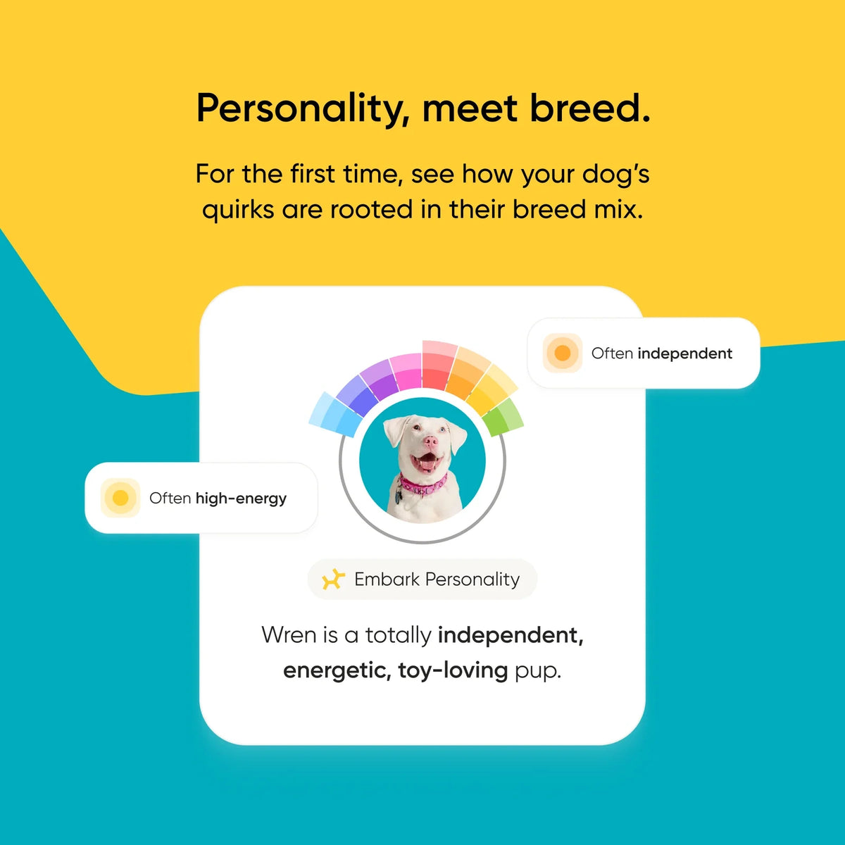 Dog Breed Ancestry DNA Test Kit