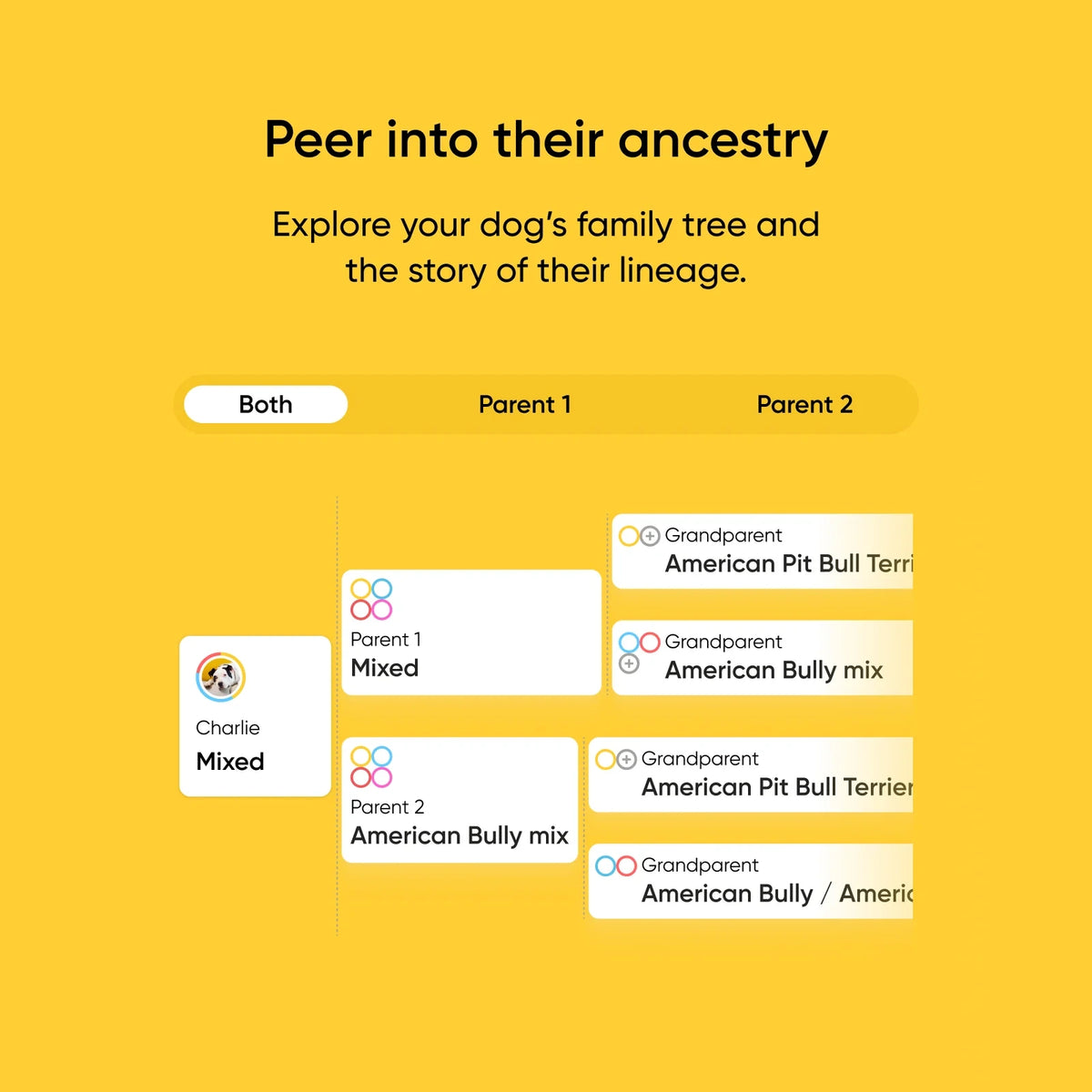 Dog Breed Ancestry DNA Test Kit