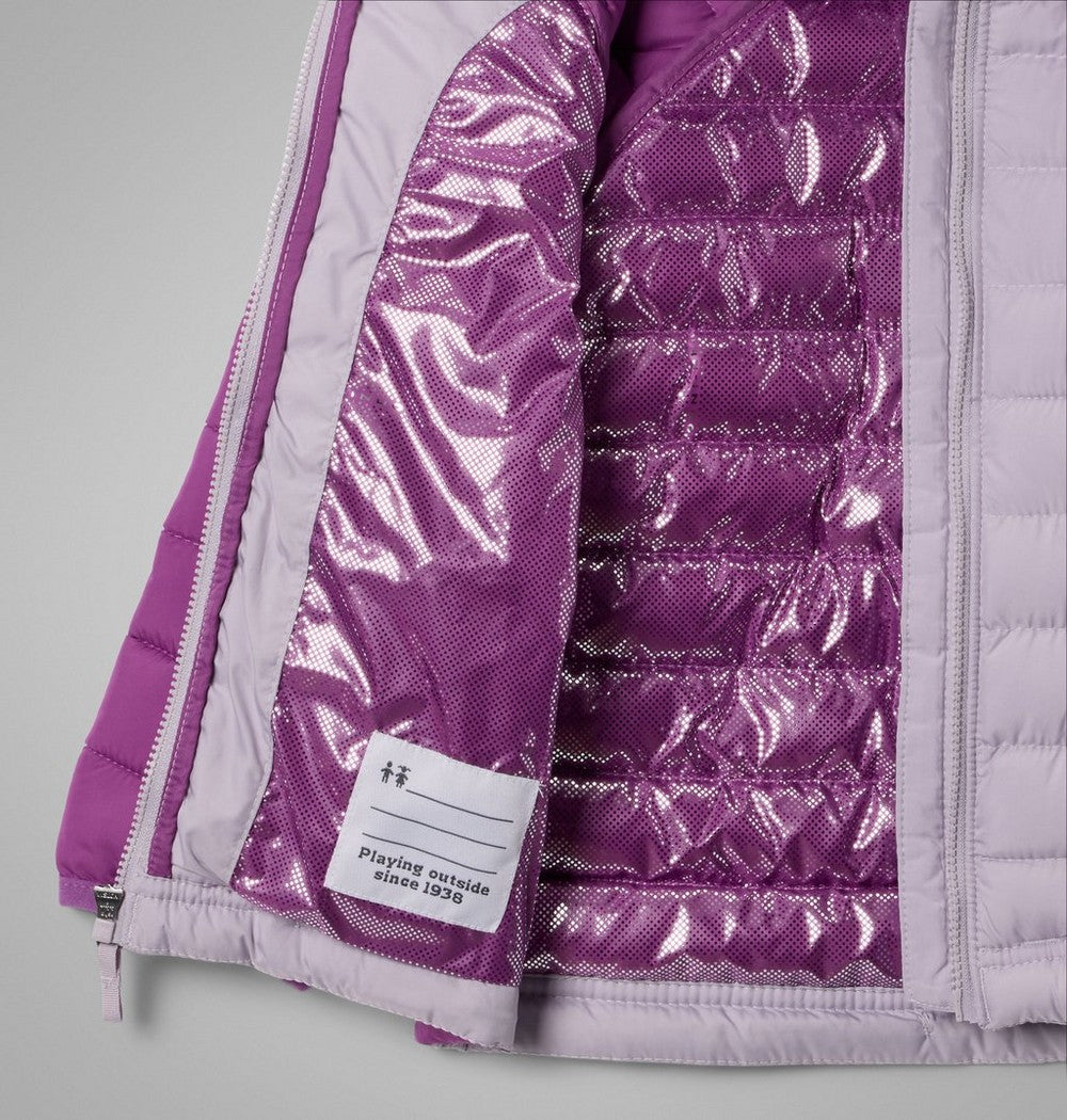 Toddler Girls' Hooded Puffer Jacket - Purple