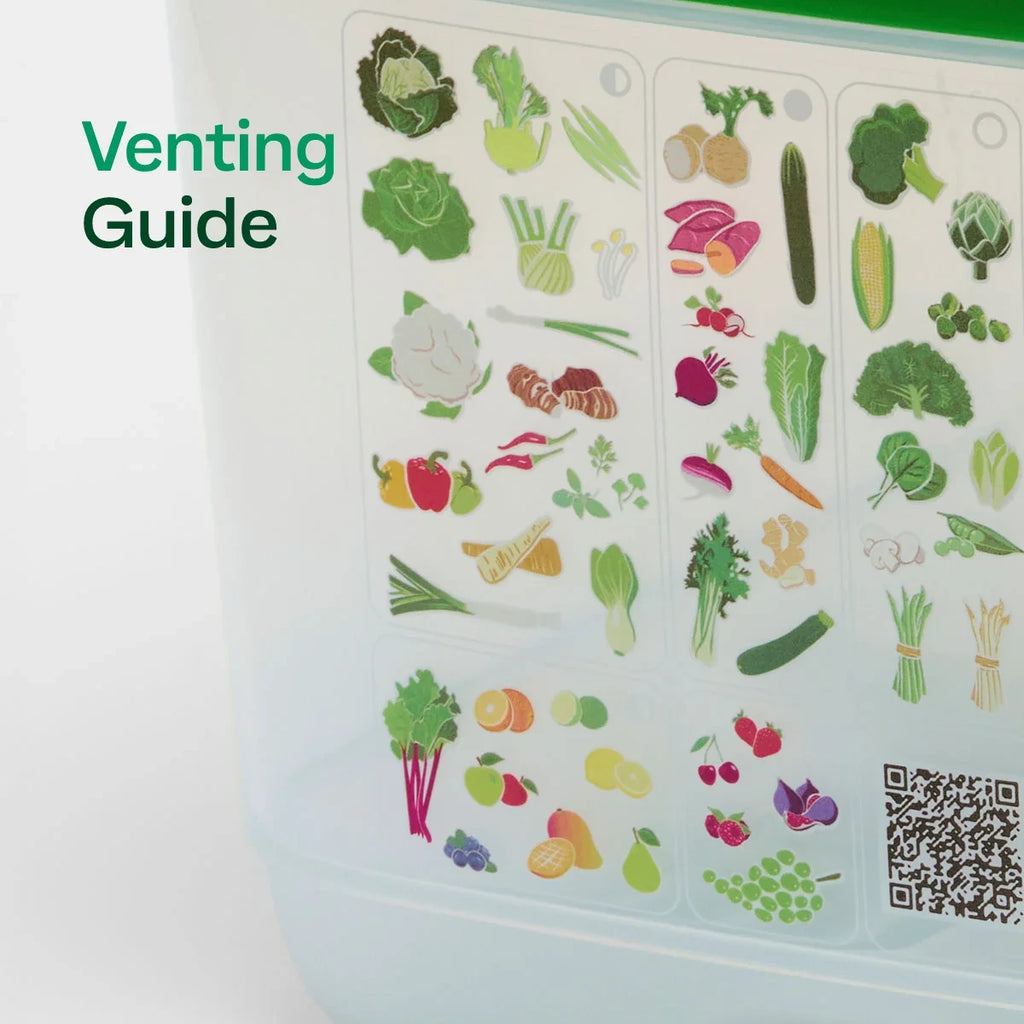 Small Deep Produce Storage Container - Celery