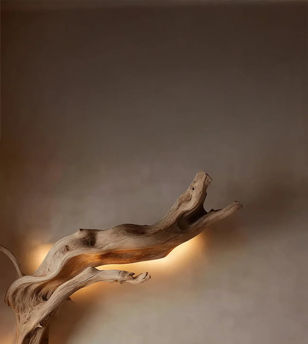 Driftwood Wall Sconce